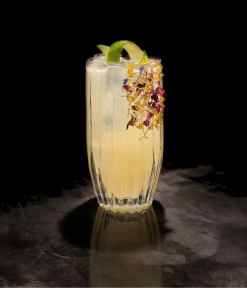image of a cocktail with a dark background